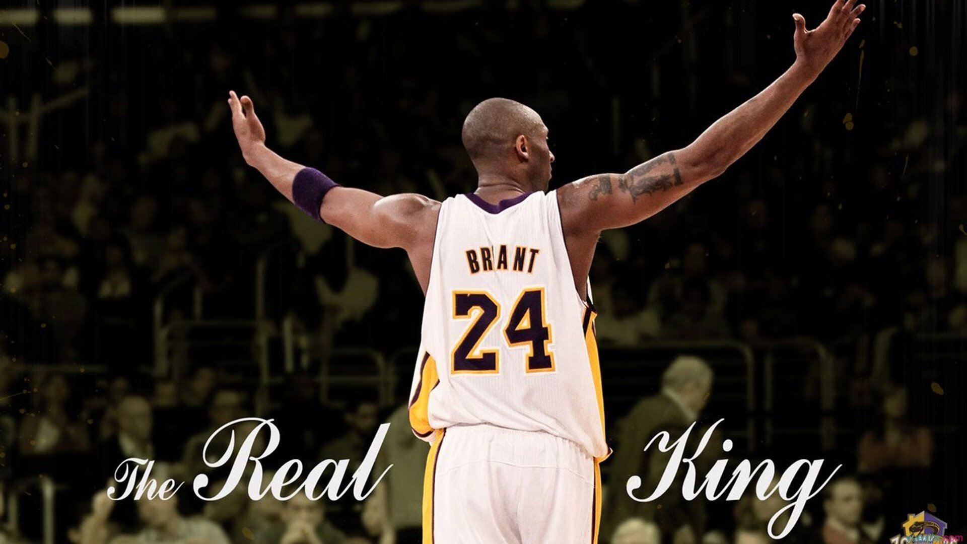 KAIYUNAPP-【冠军秘笈】马克·塞尔比：如何打造铁壁般的防守体系？，马克,塞尔比